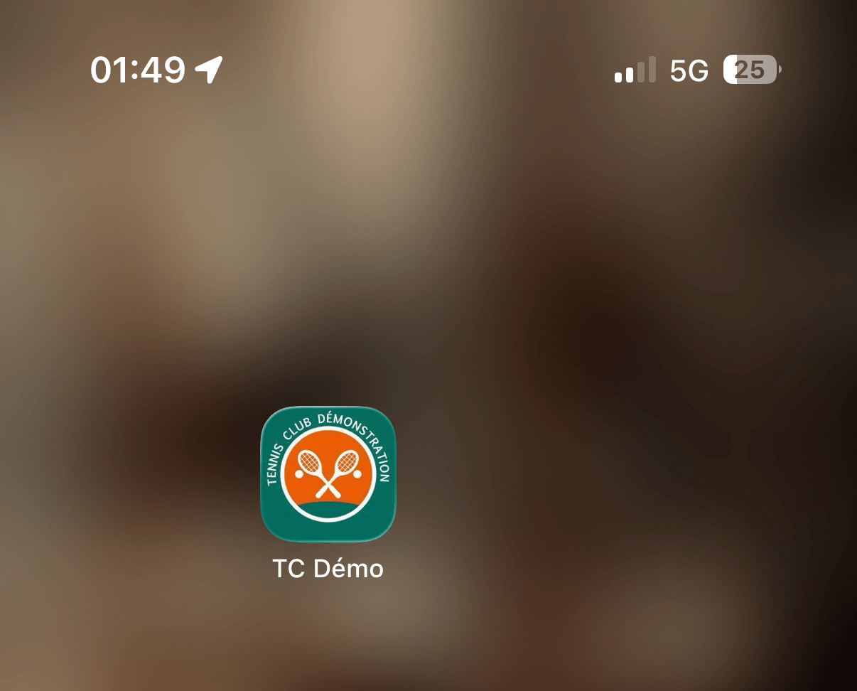 Icône app installée